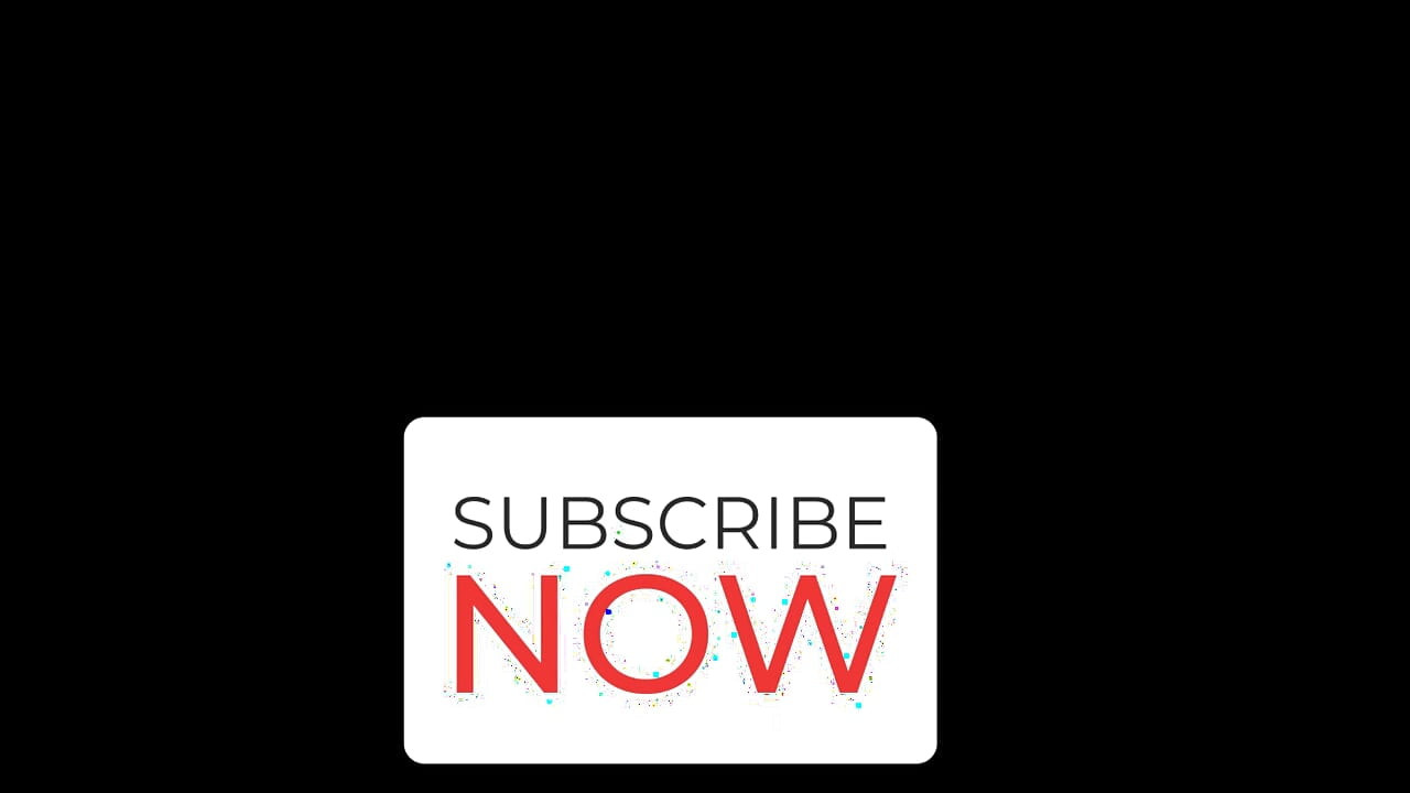 En ung sötnos har sensuella smekningar