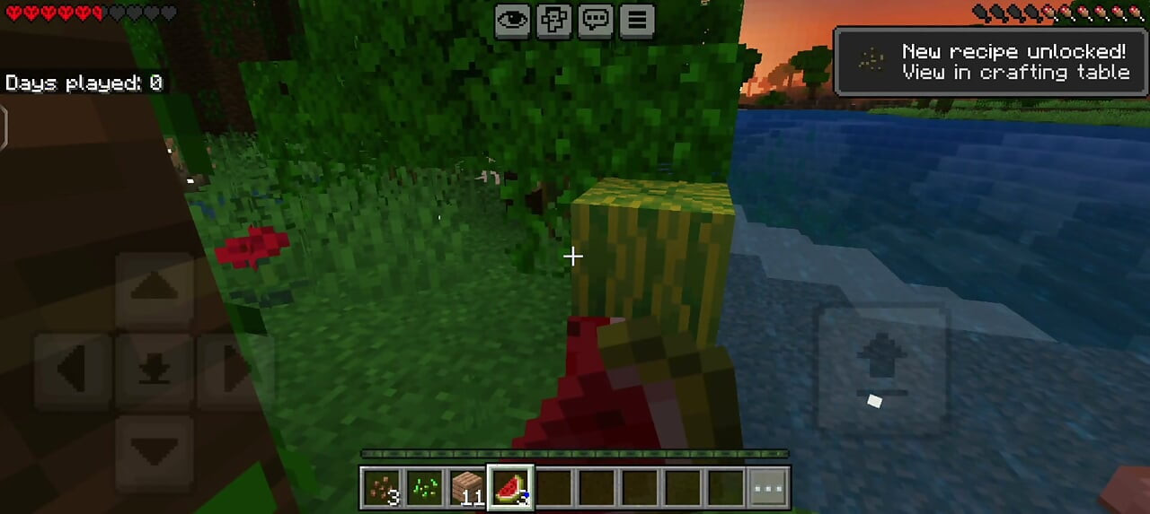 Funking A Minecraft Man but
