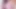 A video for Paypigs. Pay up! You know you want to
