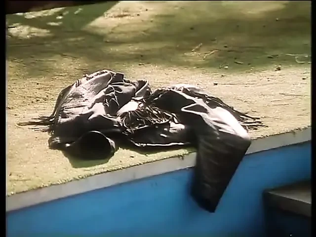 Eva Orlowsky,rocco Siffredi - milf,italian