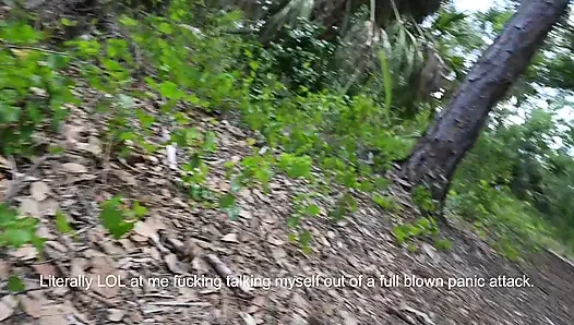 Full Day Video