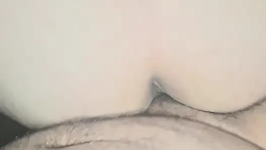 of a puppy