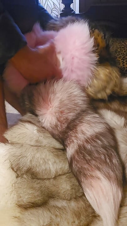 In fur puffer jacket touching and playing with myself with furry mittens.and fox fur coat