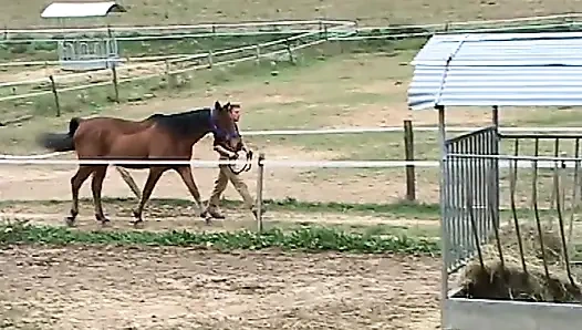 Анальные желания шлюшки в течке