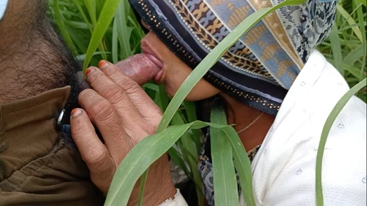 In the millet field, my elder sister-in-law sucked the cock and ass Mari opened the field of millet and killed my sister-in-law's ass