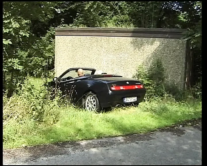 Brutal German cougar rides big rod in nature