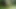 Jeannet fucked by a dildo in the garden