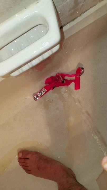 Pissing on satin Victoria secret bikini