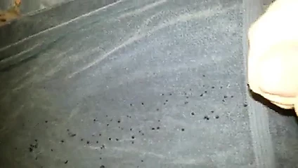 büyük patlayıcı twinks