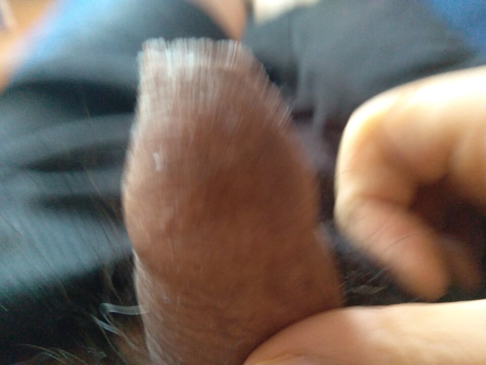 man solo takes his big dirty dick in his hand