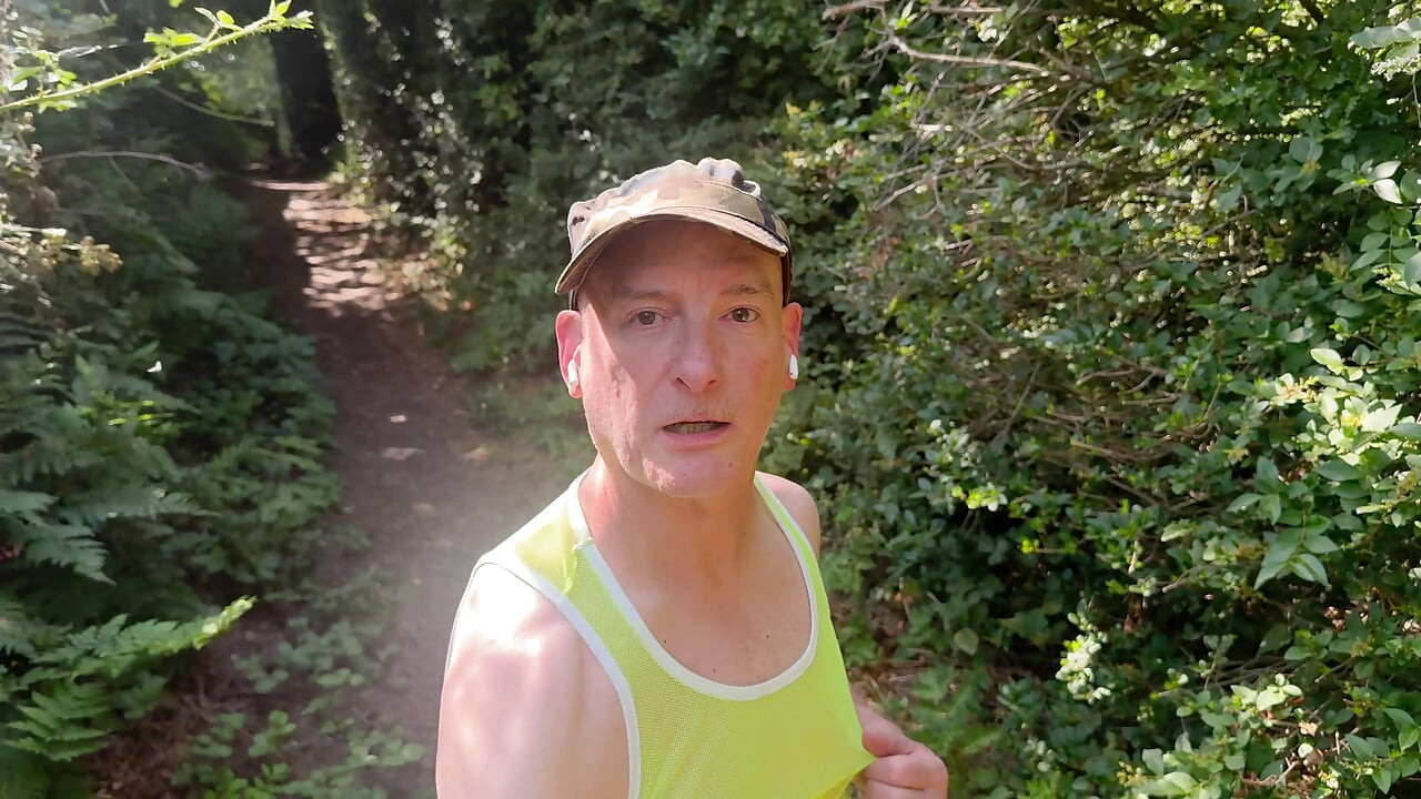 Круиз в лесу