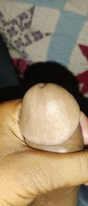 VID 20260817 022912.mp4