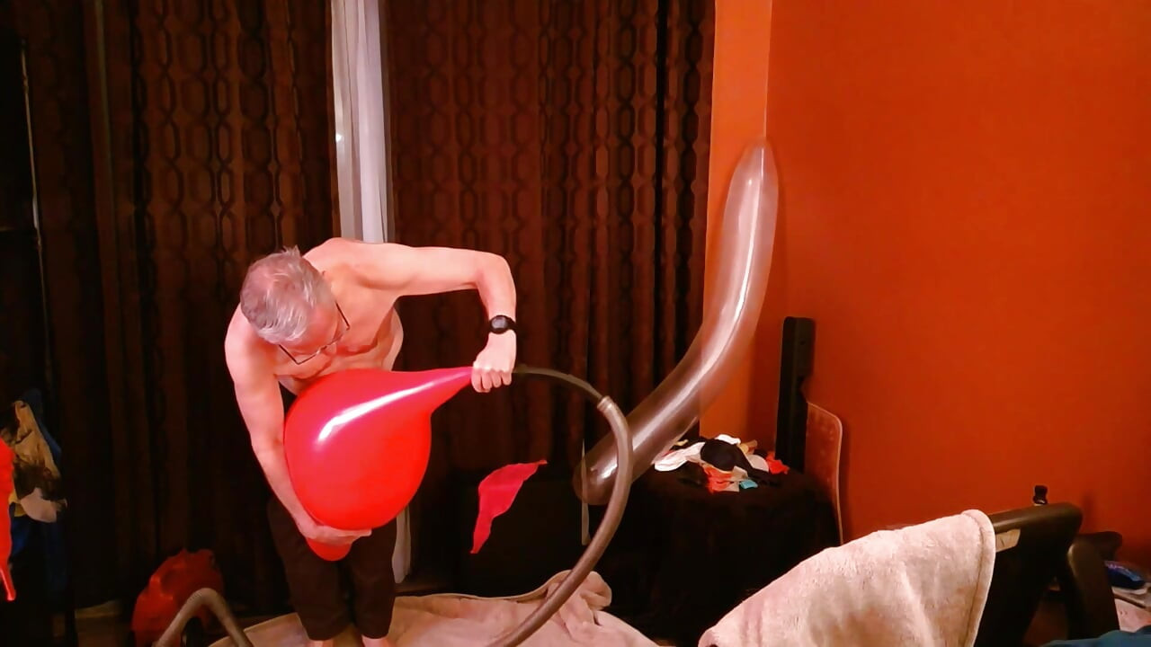 147) Belon gergasi dikongkek ayah nakal