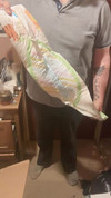 Pregled videozapisa