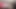 Zapanjujući femboy kreće savršenu guzu s zavodljivom gracioznošću
