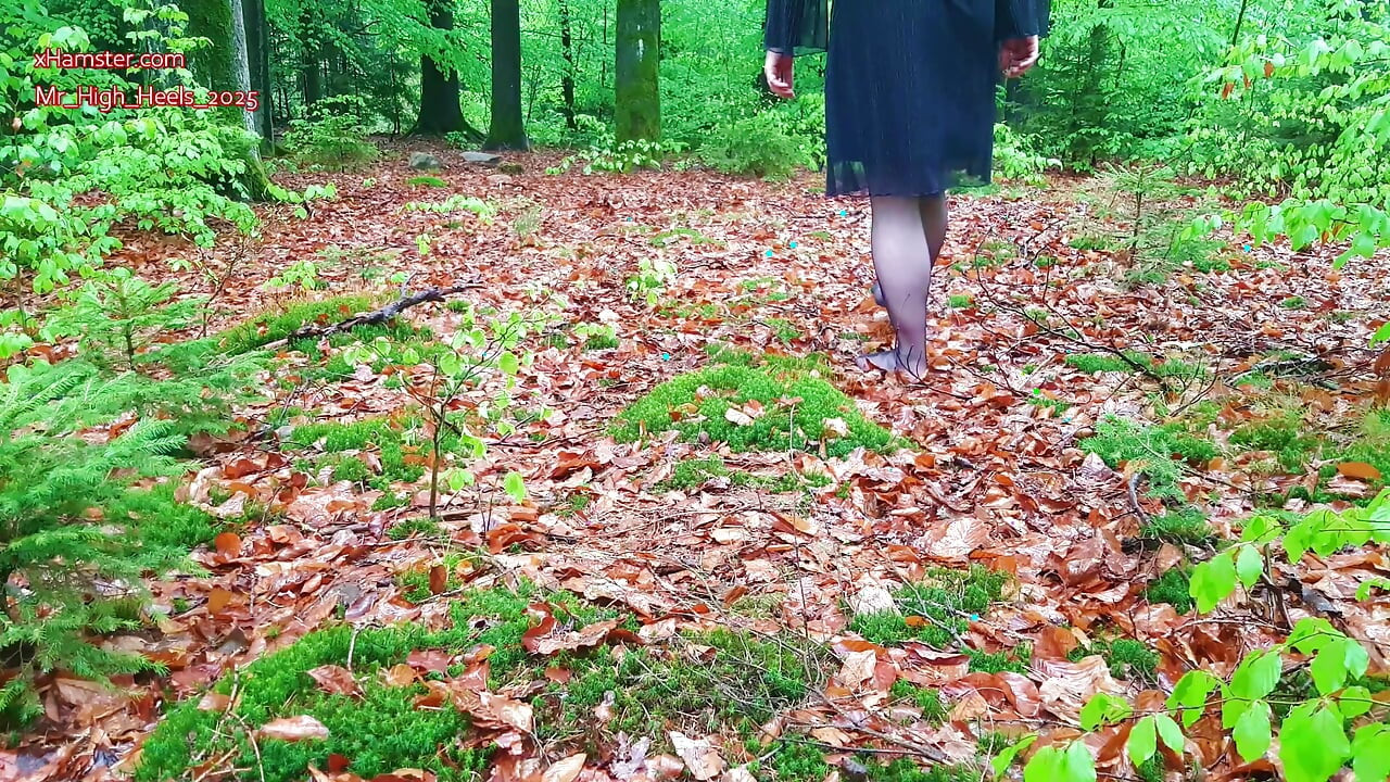 Pés de nylon na floresta