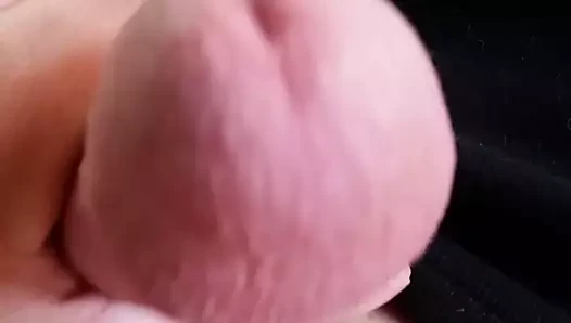 Moj Kurac (mi polla de cerca)