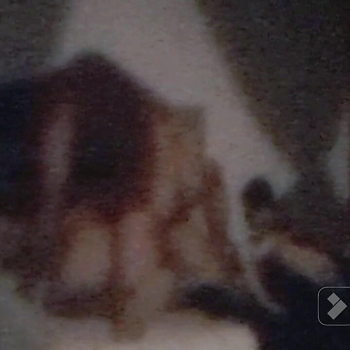 My Straight Stepbrother Comes Back to Me Without Anyone Knowing