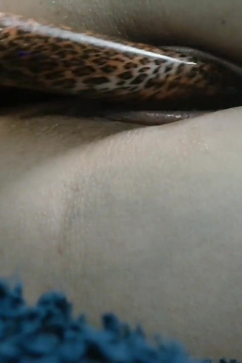 Langer, dicker dildo macht meine muschi tropfnass