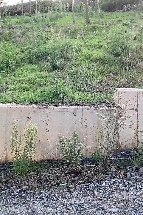 Parkta koşu yaparken kendini bir yabancıya verdi