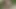 azgın avrupa sluts istiyorum için almak almak birbirinden kapalı