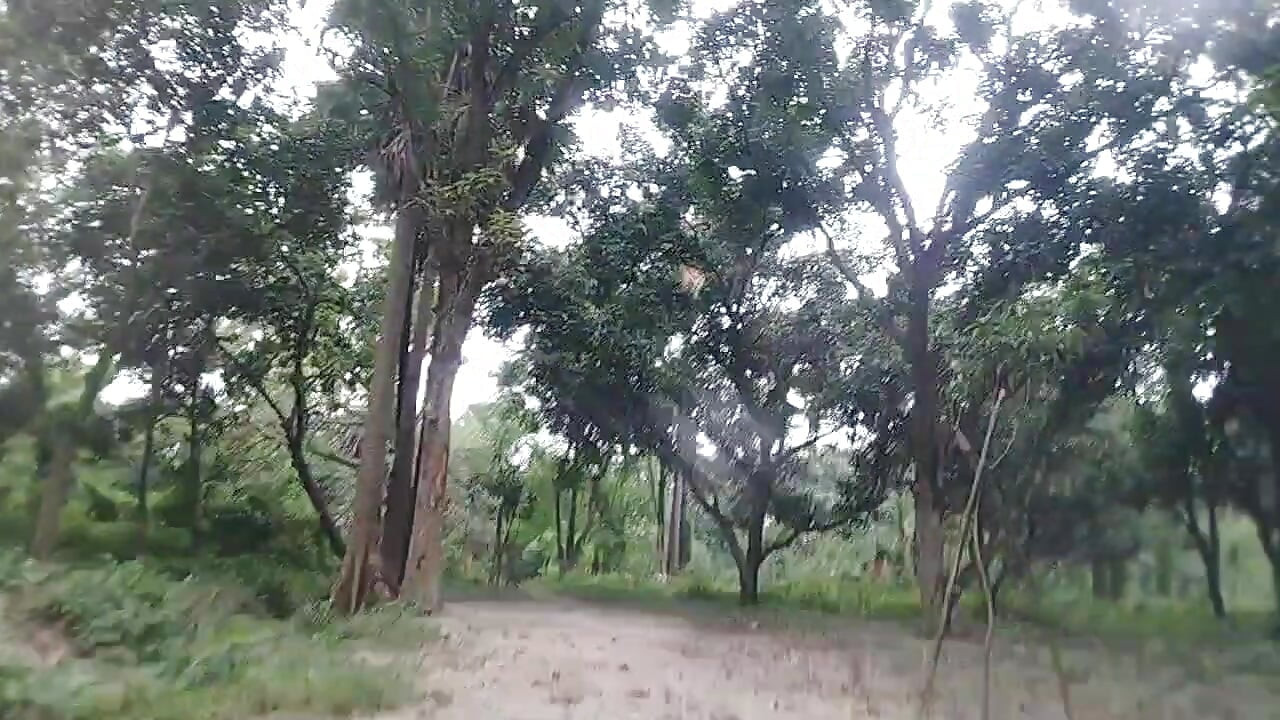 Desi gay tashjendar shemele forest handjob