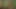 Thai guy fuck banana tree 2