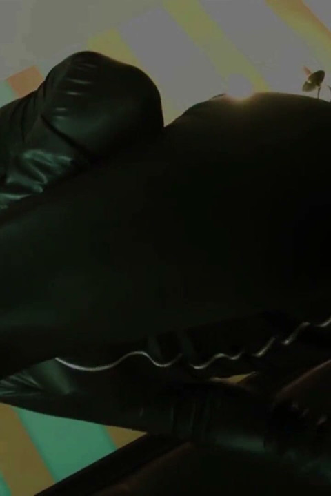 Catwoman Supervillain Fantasies