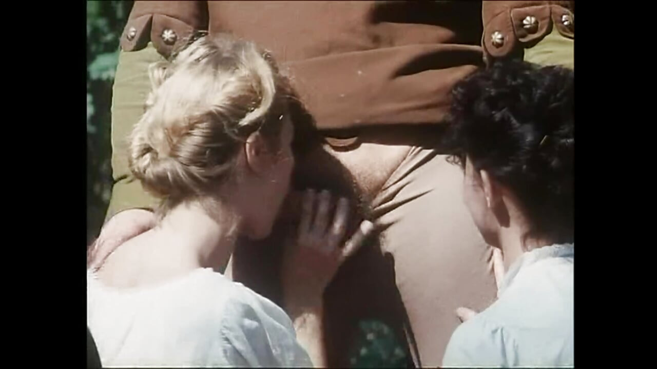 De Vrais Maîtres De Coq