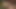 Pregnant Stepdaughter Gets Fucked By NOT Her Lewd Stepfather