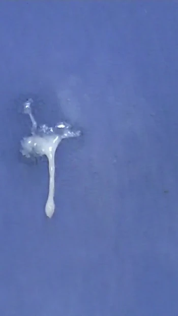 Unforgettable moment from "Fast naked Hump Masturbation"
