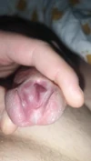 Pratinjau video