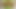 Amateur Home Strip - Green