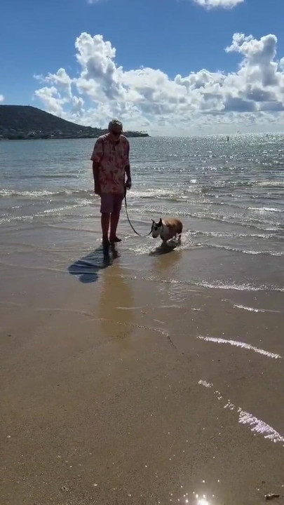 Paiko Fishpond，东欧胡岛，夏威夷州 |剪辑 2