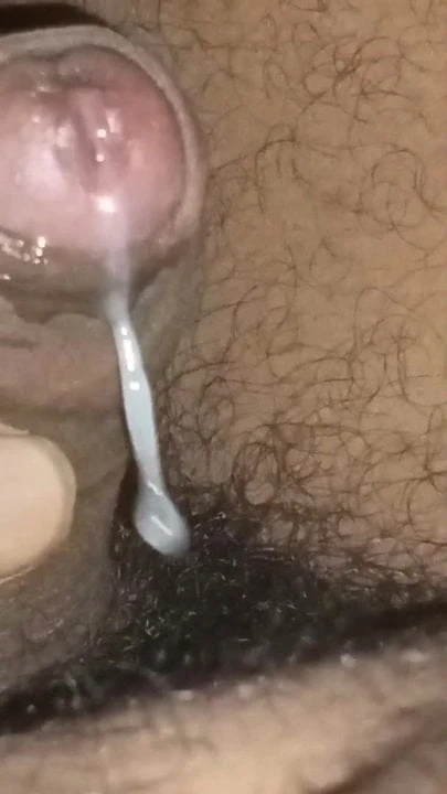 Desi land