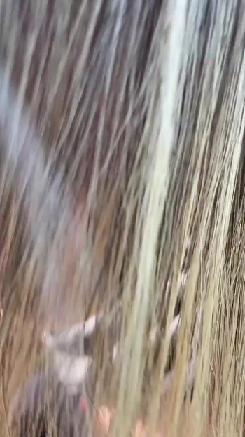 Key moment from "Nicky Mist swallowed cum after ardent blowjob public place"