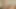 Sarışın hatunlar Samantha Rone ve Vera Jarw cz muse'un büyük yarağını yiyor!