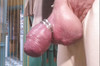 Pregled videozapisa