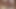 興奮した豚たちに抱かれる可愛くてセクシーな女の子