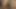 リアル・ラティーナ・ティーンズ - シルビア・ラヴルズ ヨー・マクル・モニカ・スクワート