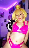 Pregled videozapisa