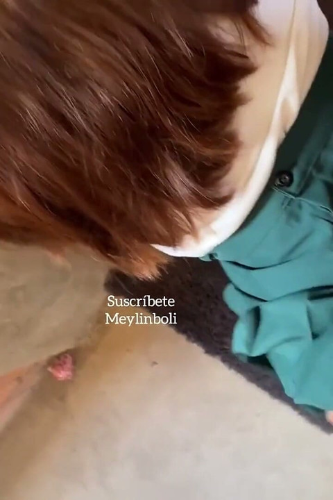 Student Fucked Before College Homemade Porn