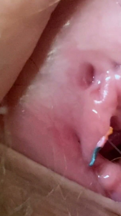Custom: Giantess Vagina Closeup | Clip 1