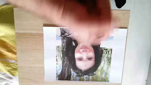 Milen4eto haraç