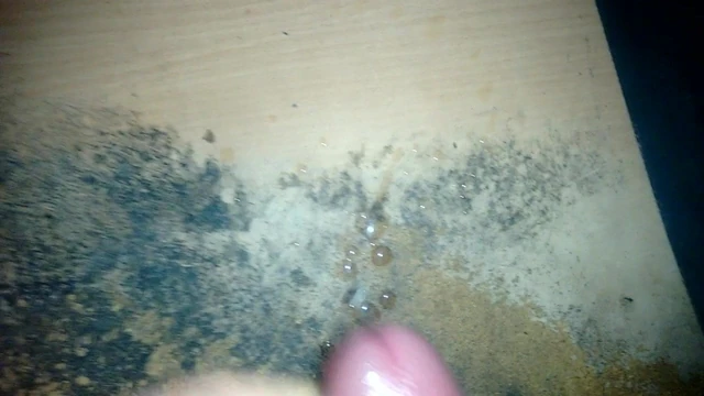 tribut fuer DieEineJenny