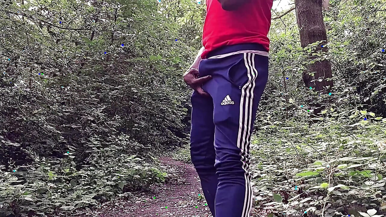 行走突擊隊揮舞它然後炫耀