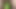 Cucumber inserted in neighbor's vagina, the vagina was very tight