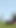 Epic moment from "Creampie From Outdoor Sex In An Open Field - Alternate Camera"