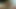 New model demo with creampie finish (edited)