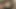 Geile MILF gibt Jungspund Nachhilfe beim Ficken